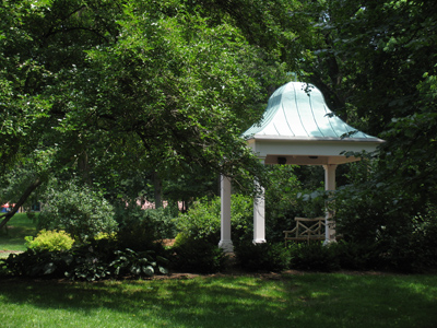 My lunchtime haunts.