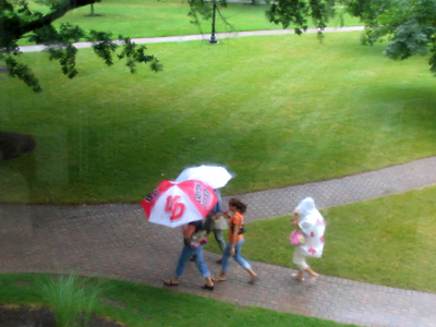 `I don`t want to go to this university.  It rains too much.`