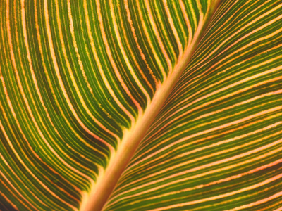 Landscapers looked on curiously as I took an intense interest in their work.