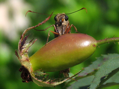 Close encounters of the creepy kind.