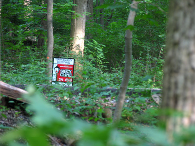 This wilderness for sale.