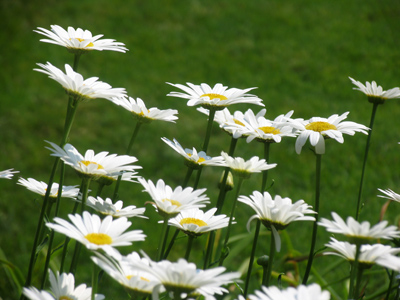 It`s a real drag, knowing there`s always the same thing at the top of my To Do List.