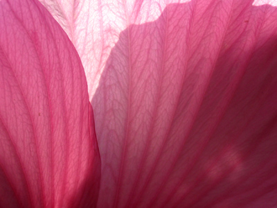 The idea was to show five pictures chosen from what I shot in a day, but it has since become an end in itself.