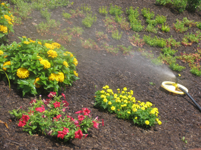 At over 90 degrees, this was very tempting.