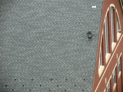 It`s the edge of a building and a roof, I`ll give you that much.  But is it shot from above or below?
