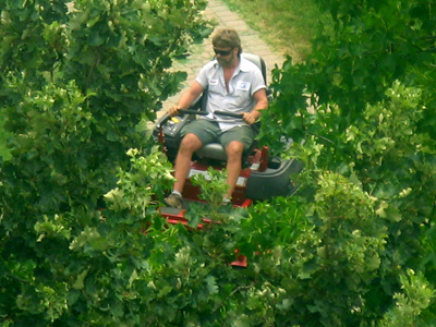 The second optical illusion of the day.  How did he get that lawnmower into the tree?