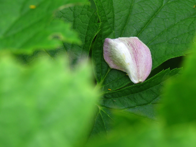 Remember the fallen.