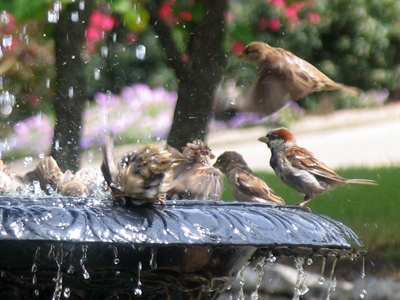 It`s clear to see who`s the rotten egg.