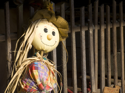 Sunday morning at the fair is the only time I hear real roosters crowing.
