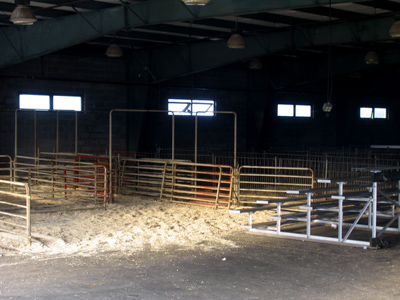 Farewell to the fair.