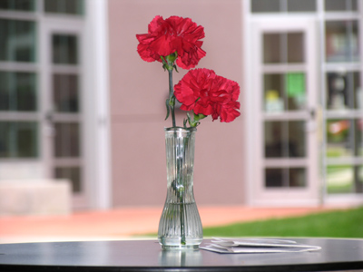 Rainy outside, better inside.