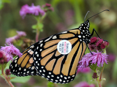 Certified for flight.