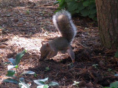 Putting a little something away for the future.