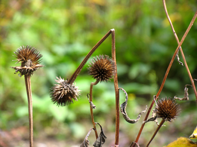 Pride goeth before destruction, and an haughty spirit before a fall. PROVERBS 16:18