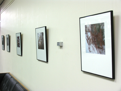 Some days, it`s really easy to shoot five pictures.