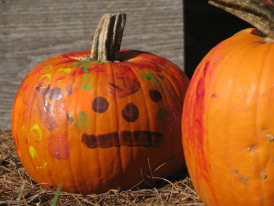 Face to face with autumn.