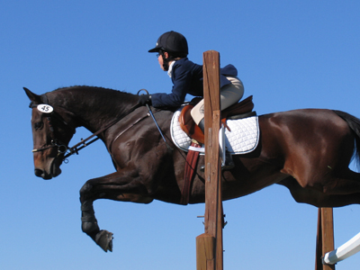 This is how it NORMALLY goes.