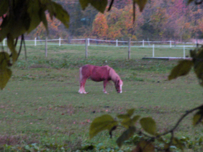 A snack before bedtime.