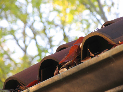 Hanging around the gutter.