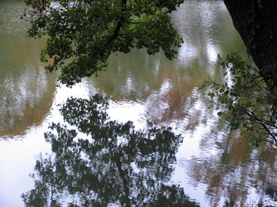 A nice peaceful scene at the water level . . . 