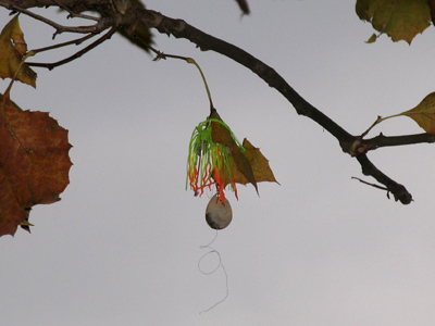  . . . while overhead is evidence of frustration.