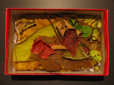 Fall in a box.