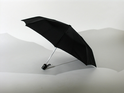 When the sky is clear, carry an umbrella; though your stomach is full, carry provisions. CHINESE PROVERB