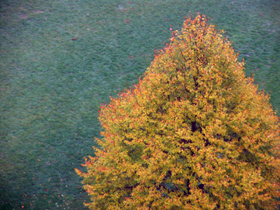 For some reason, I seem to believe that showing PART of something is better than showing the WHOLE something.