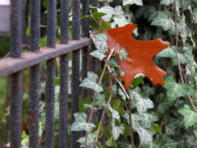 The election`s coming up and I`m still sitting on the fence.