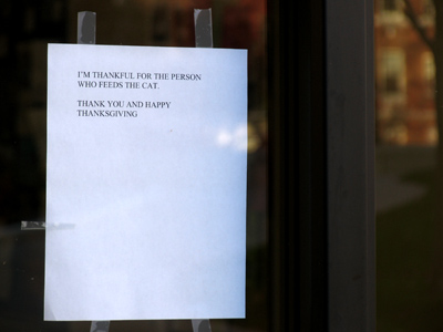 `I`M THANKFUL FOR THE PERSON WHO FEEDS THE CAT.  THANK YOU AND HAPPY THANKSGIVING.`