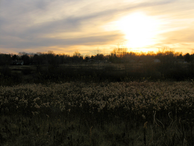 The last undeveloped land in Bellbrook, Ohio.
