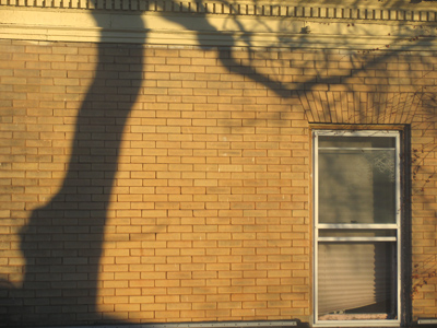 Silently - imperceptibly - while the family slept - it crept toward the house. [See August 26, 2004]