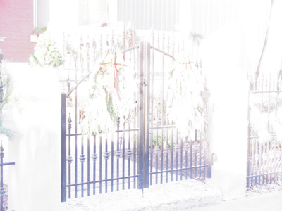 After 927 straight days of use, today my camera began to malfunction.  This is a serious concern.  More updates later.