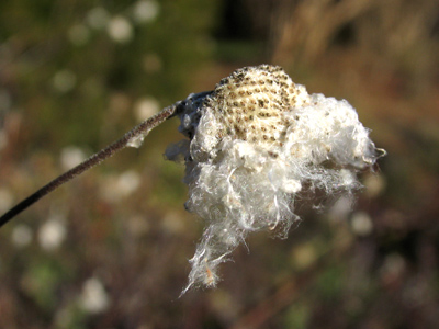 Already planning ahead for next year.