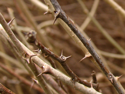 This is the way the world is sometimes.