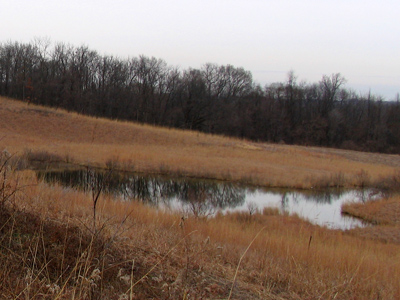 Little pond on the prairie.
