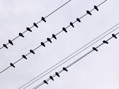 I stood, I watched, I waited.  They did nothing.