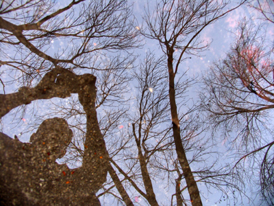 The park was rather soggy, so I stuck mostly to the streets and sidewalks.