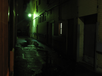 Like anybody, I would like to live a long life. Longevity has its place. But I�m not concerned about that now. MARTIN LUTHER KING on the day before his assasination