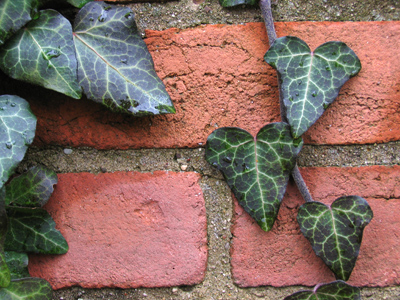 Some people, you see, are just more important than the rest of us and don`t need to obey traffic laws.