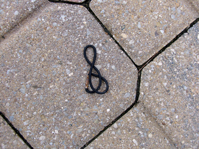 Above my head at lunch.