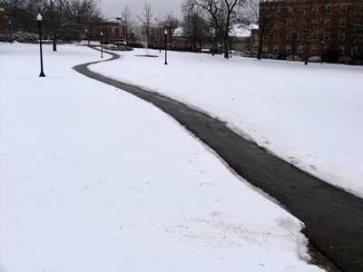 Studio Photography, Project 1.