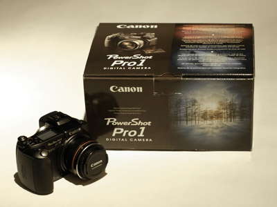 Anticipation:  I had to do this before I could use my new camera.