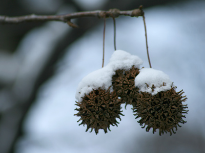 Even when it was working well, I could`ve NEVER done this with my old camera.