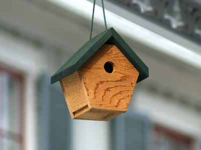 I walked less than a block through my neighborhood and came back feeling very satisfied with my new camera.