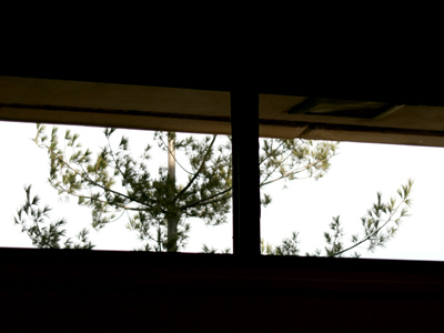 I also do display cases.