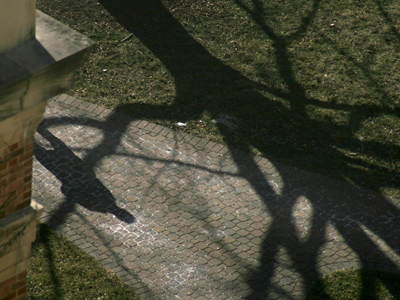 Shh!  Someone`s coming.