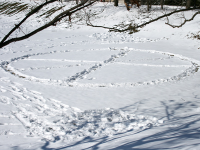 Here`s where we landed when they returned me to Earth.