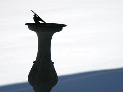 Time to go inside and warm up.