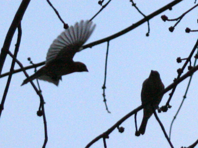 They don`t need any STUFF.